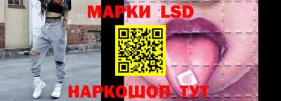 дмт Будённовск
