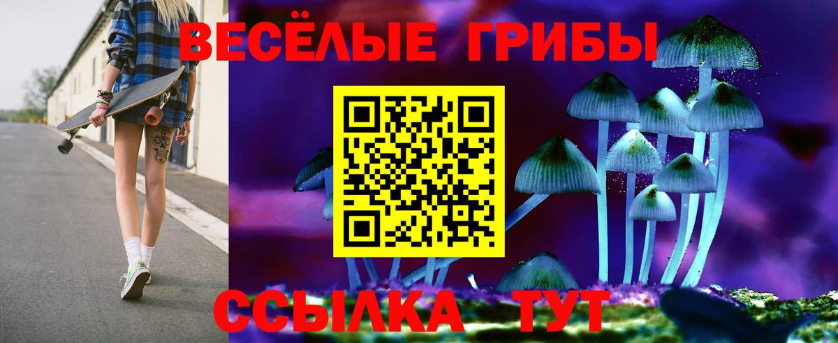 Псилоцибиновые грибы MAGIC MUSHROOMS Славгород